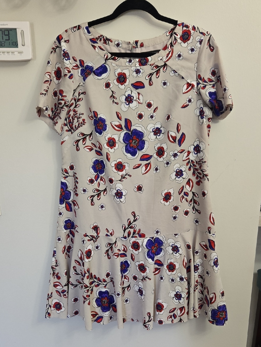 Banana Republic Beige Mini Dress with Blue & Red Floral Print